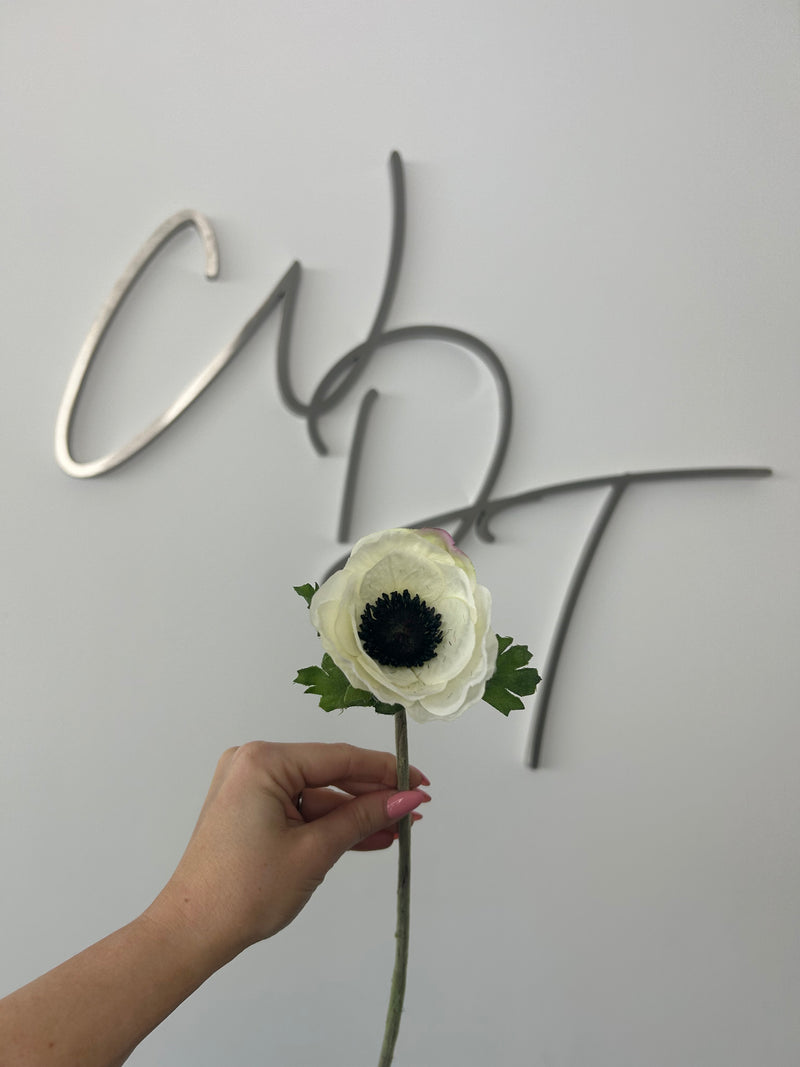 Single Stem Anemone White