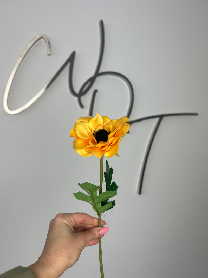 Single Stem Anemone Yellow