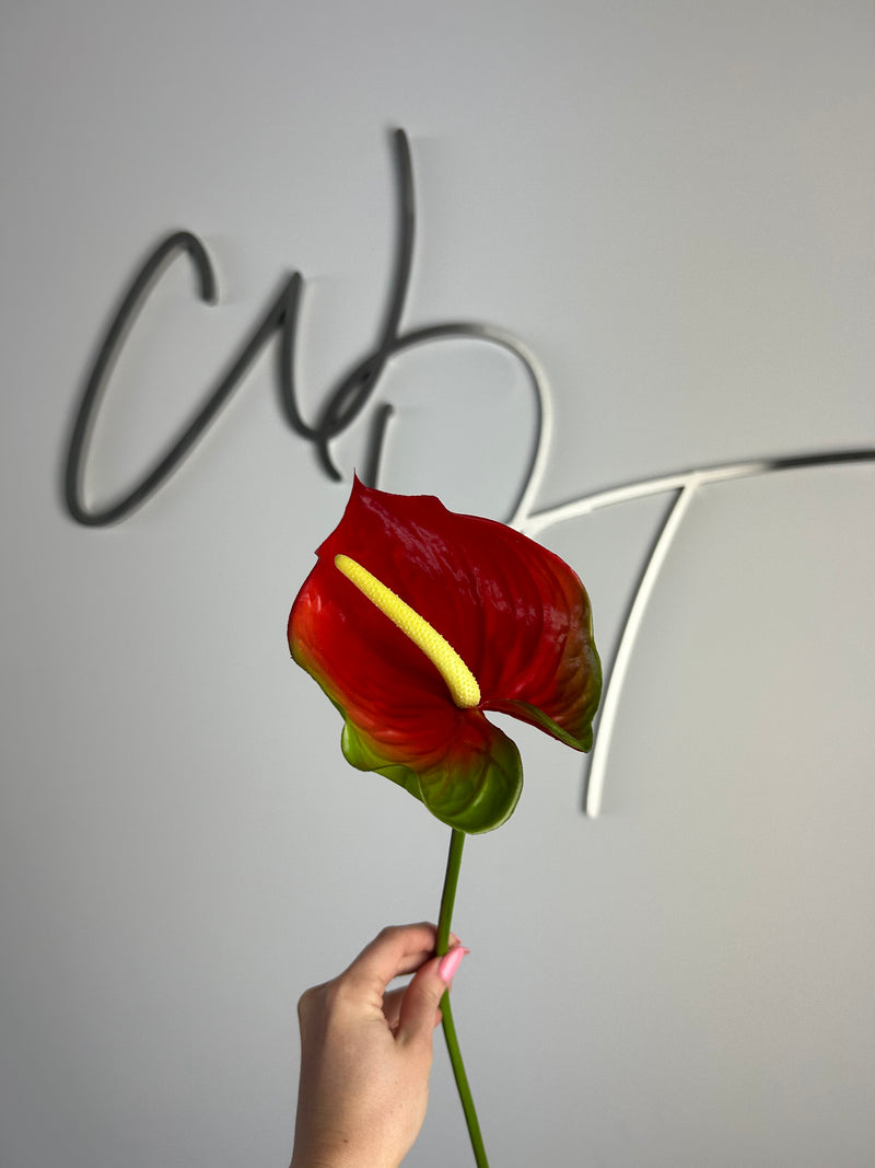 Single Stem Anthurium - Red