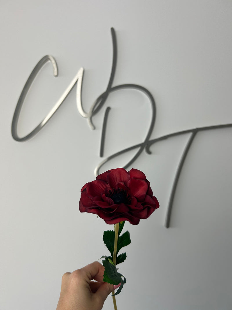 Single Stem Anemone Red