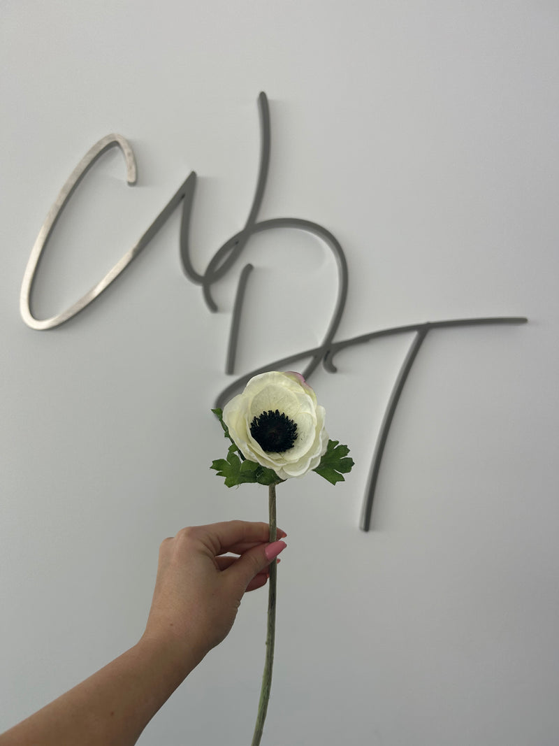 Single Stem Anemone White