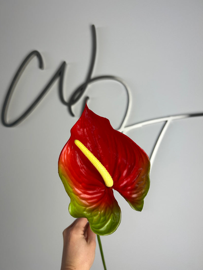 Single Stem Anthurium - Red