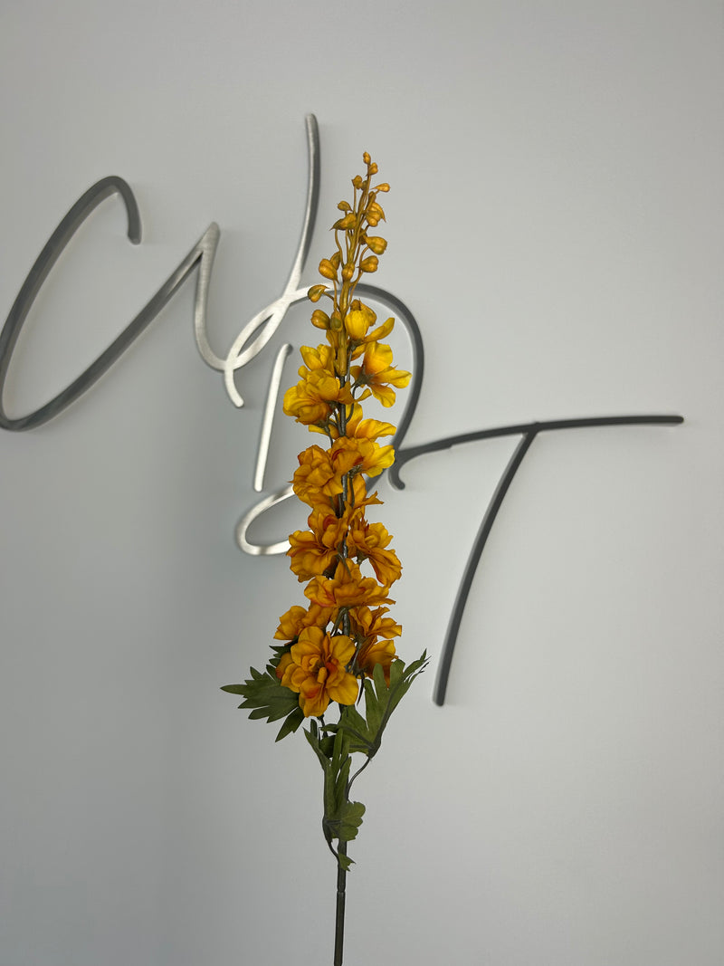 Single Stem Delphinium Lux - Mustard Yellow