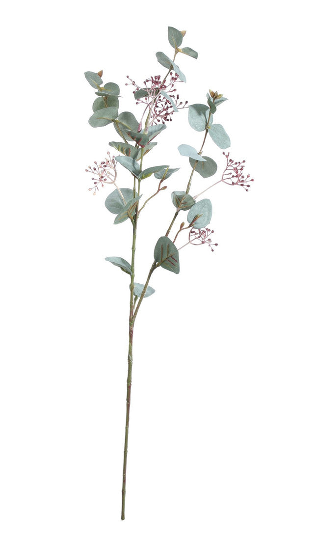 Seeded Eucalyptus Stem
