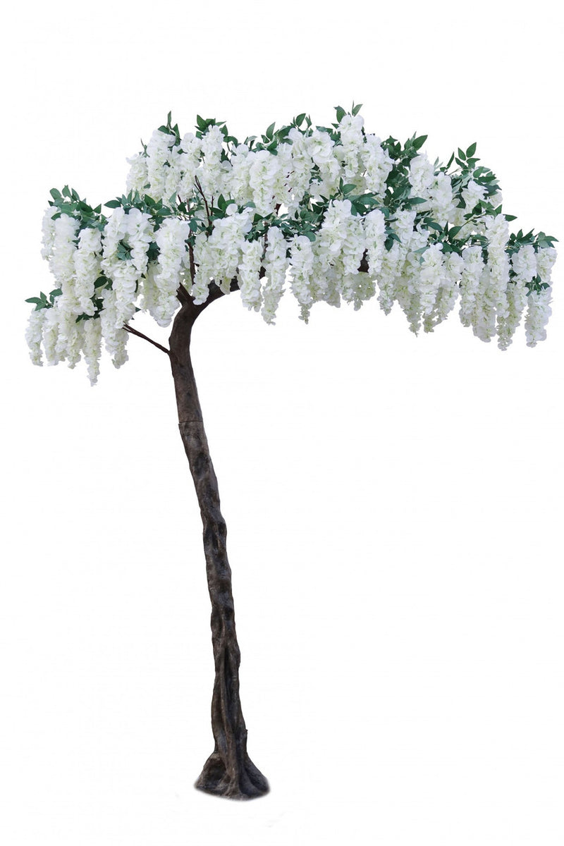 Wisteria Canopy Tree 3.2m