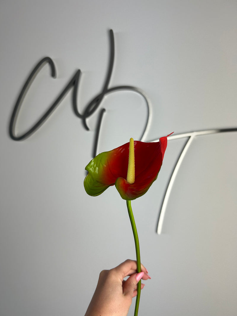 Single Stem Anthurium - Red
