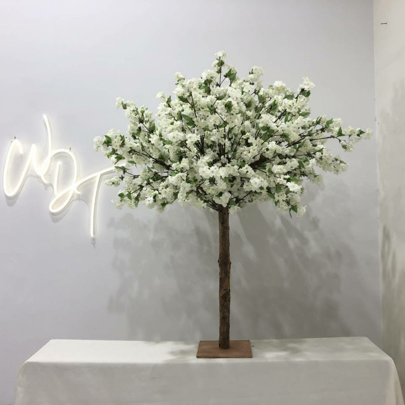 Ivory Cherry Blossom Tree