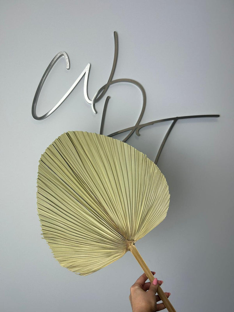 Dried Palm Leaf - Large