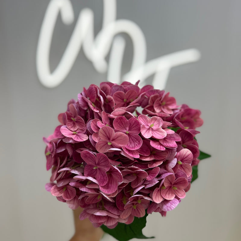 Single Stem Real Touch Hydrangea