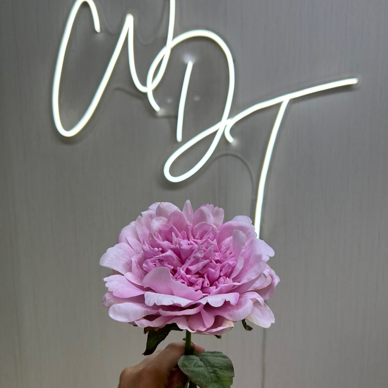 Single Stem Real Touch Carnation