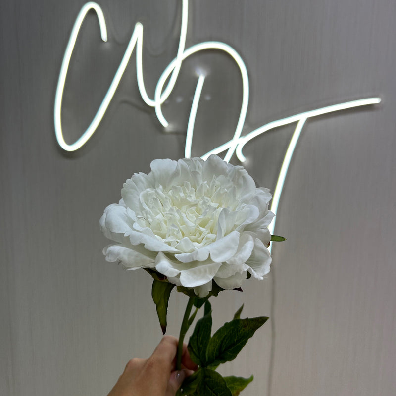 Single Stem Real Touch Carnation