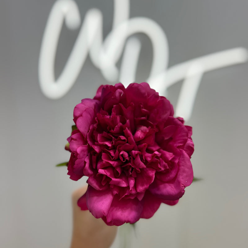 Single Stem Real Touch Carnation