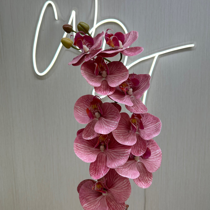 Single Stem Real Touch Orchids