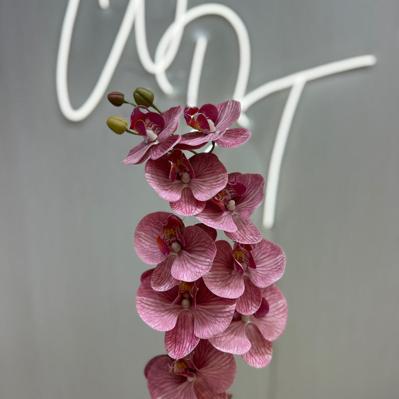 Single Stem Real Touch Orchids