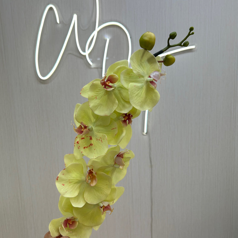 Single Stem Real Touch Orchids
