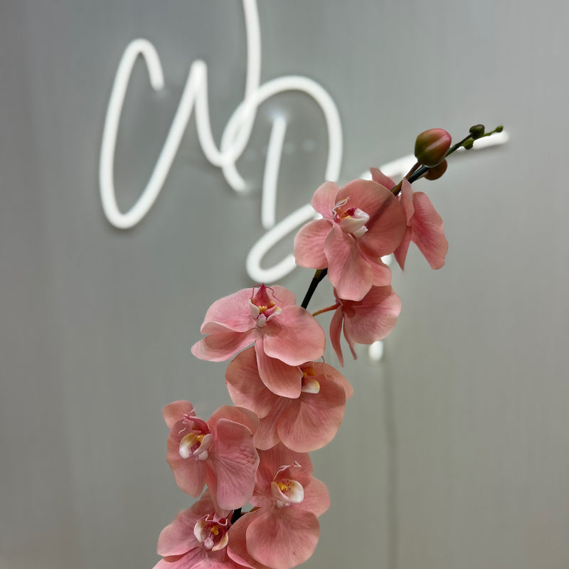 Single Stem Real Touch Orchids