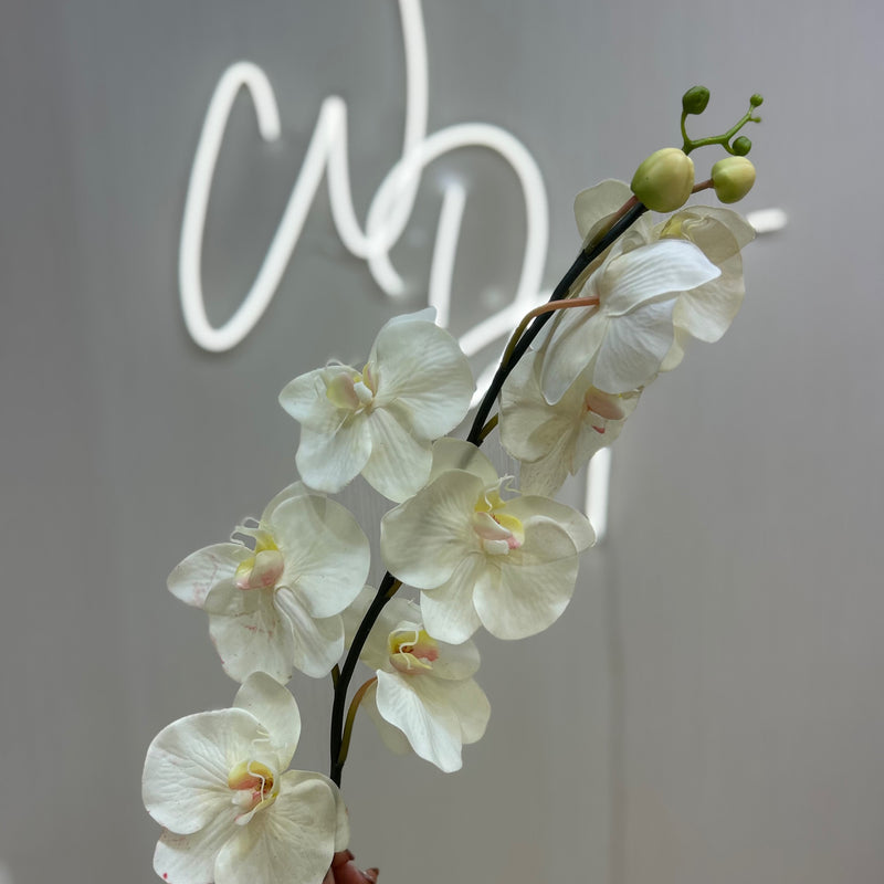 Single Stem Real Touch Orchids