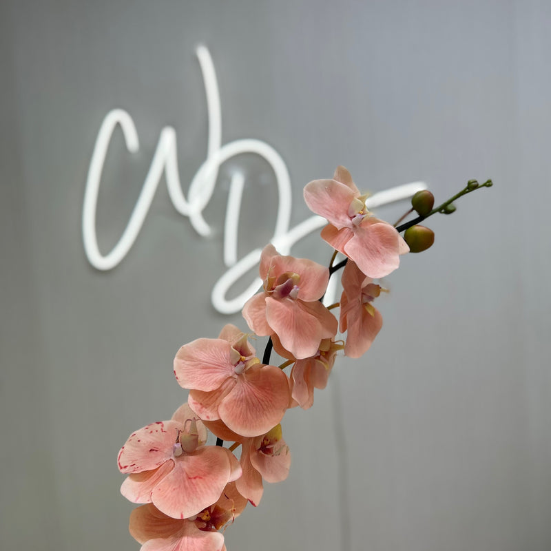 Single Stem Real Touch Orchids