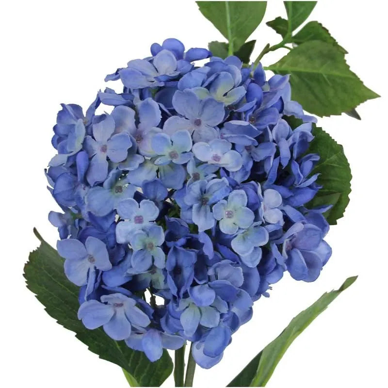 Large Hydrangea - Blue