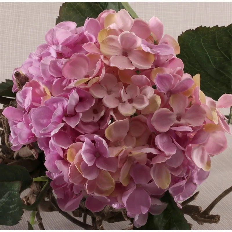Large Hydrangea - Rosey Pink