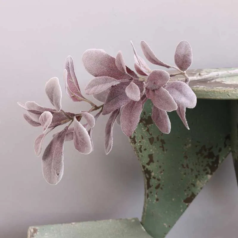 Burgundy Lambs Ear Single stem - 70cm