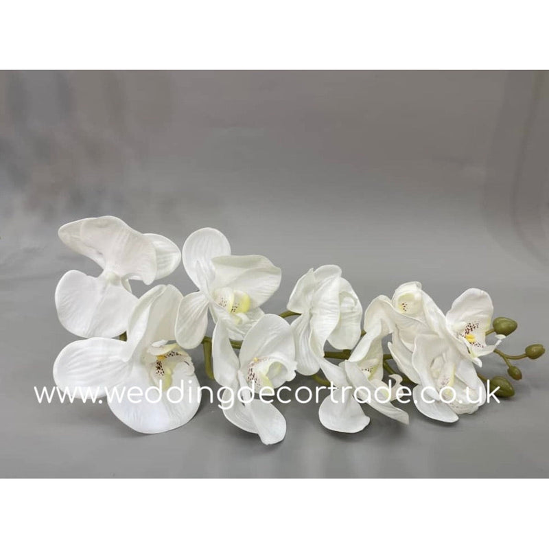 Single Stem Real Touch Orchid