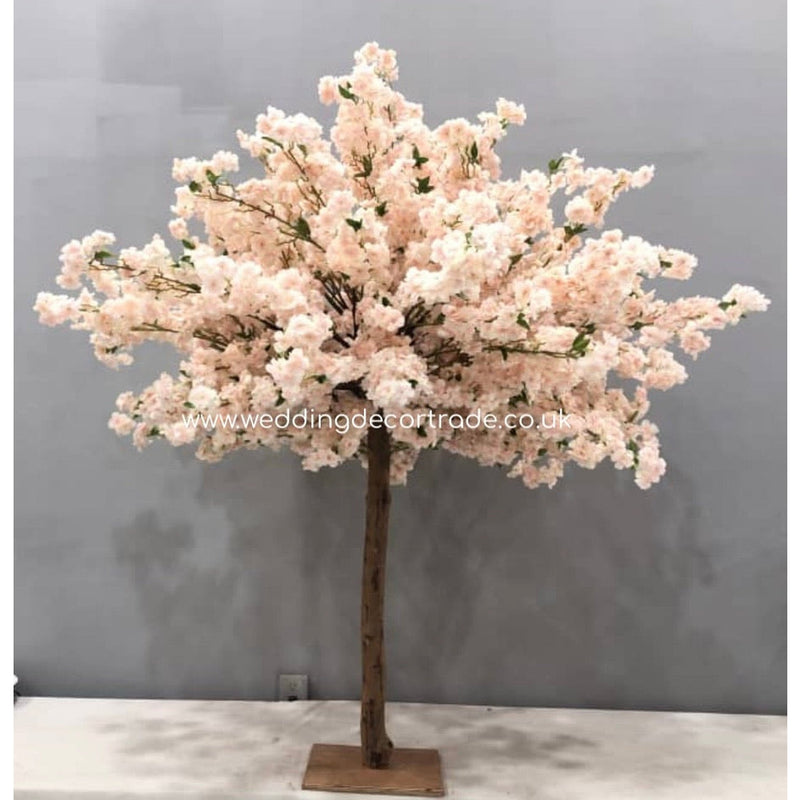 Pink Pom Pom Blossom Tree - M2