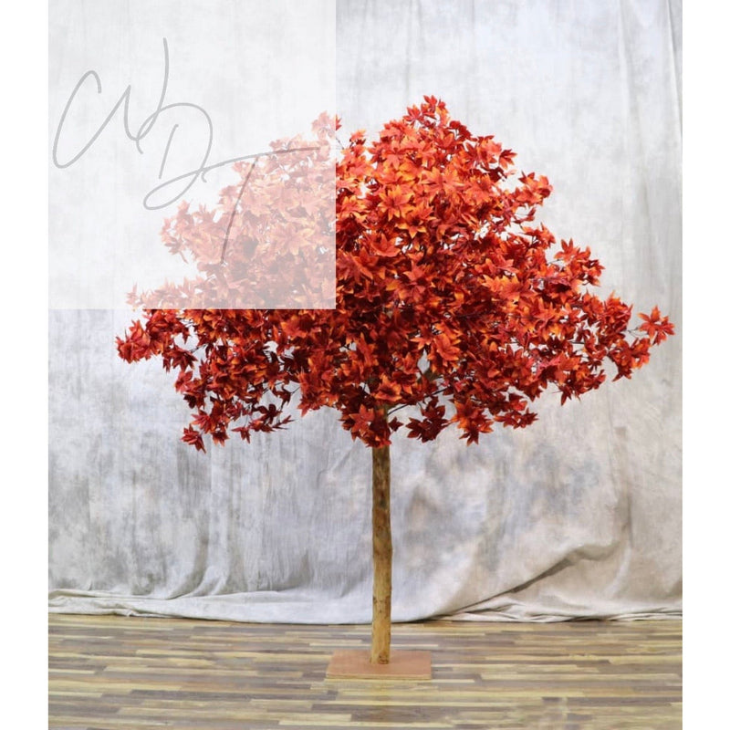 Autumnal Tree - 1.5m
