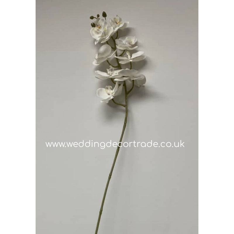 Single Stem Real Touch Orchid