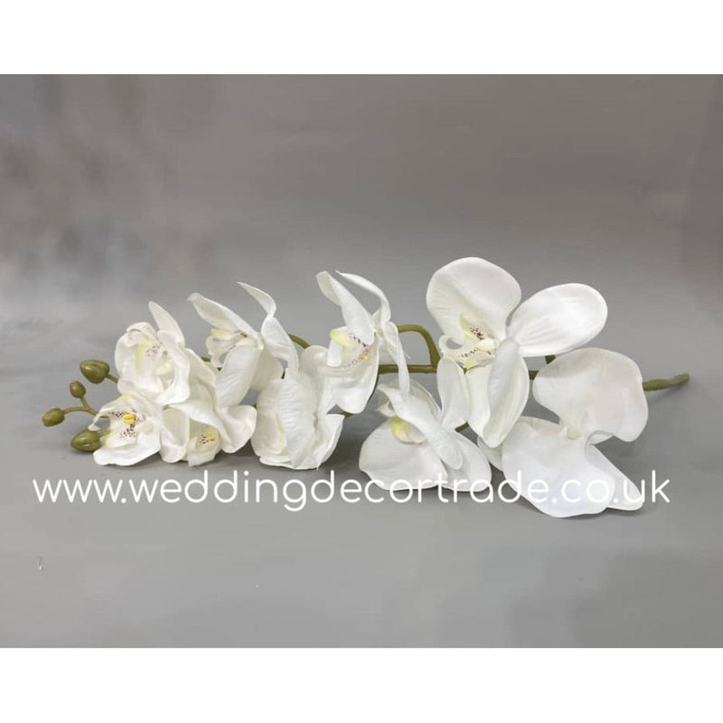 Single Stem Real Touch Orchid